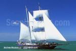 ID 5367 YOUNG ENDEAVOUR, a brigantine-rigged sail training ship built in Lowestoft, England was a British gift to Australia in Bi-Centenary year 1988. She is seen here taking part in the sail-past on...